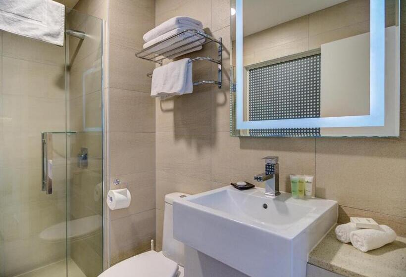 스탠다드 룸 킹사이즈 침대, Vr Queen Street Hotel & Suites