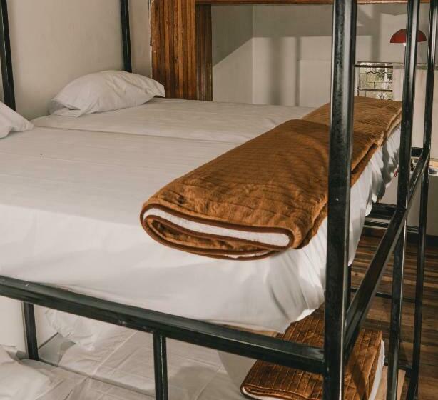 Кровать в Общей Комнате, Wild Monkey Hostel