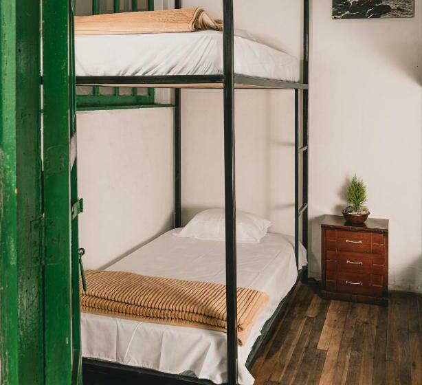 Кровать в Общей Комнате, Wild Monkey Hostel