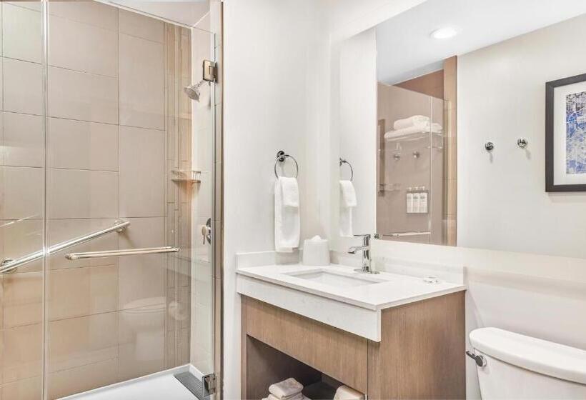 استودیو استاندارد با تخت کینگ, Hyatt House Houston Medical Center