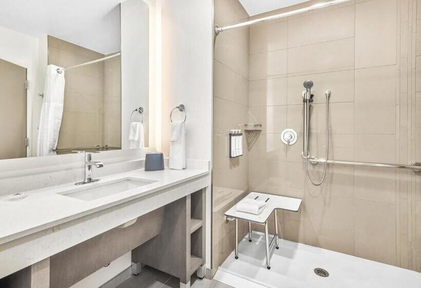 استودیو استاندارد با تخت کینگ, Hyatt House Houston Medical Center