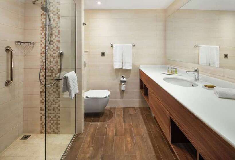 اتاق استاندارد با تخت بزرگ, Hilton Tallinn Park