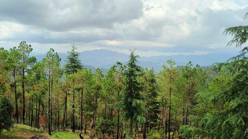 스탠다드 룸 산 전망, The Roots Hotel & Resort Jalna Almora