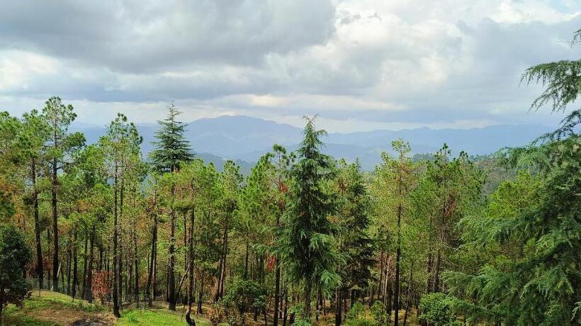 발코니 디럭스 룸, The Roots Hotel & Resort Jalna Almora
