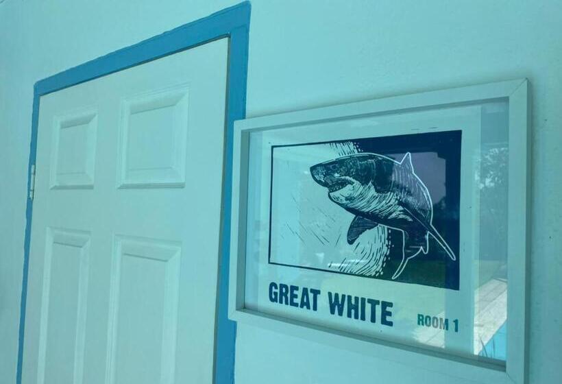 Номер Стандарт, The Lazy Shark