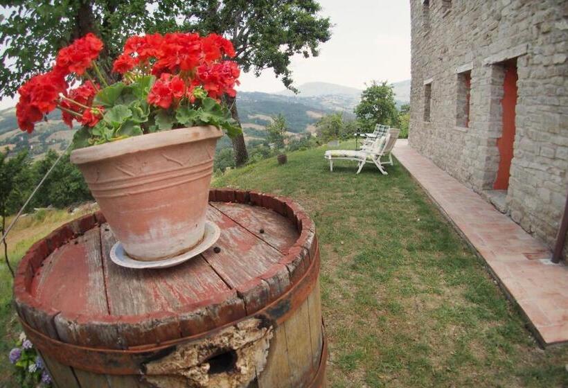Номер Стандарт, Il Casale Toscoemiliano