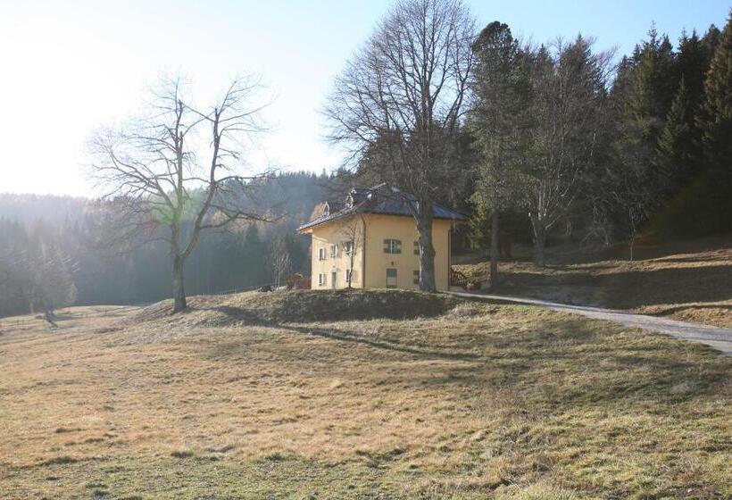 Апартаменты 2 Спальни, Chalet Musiera