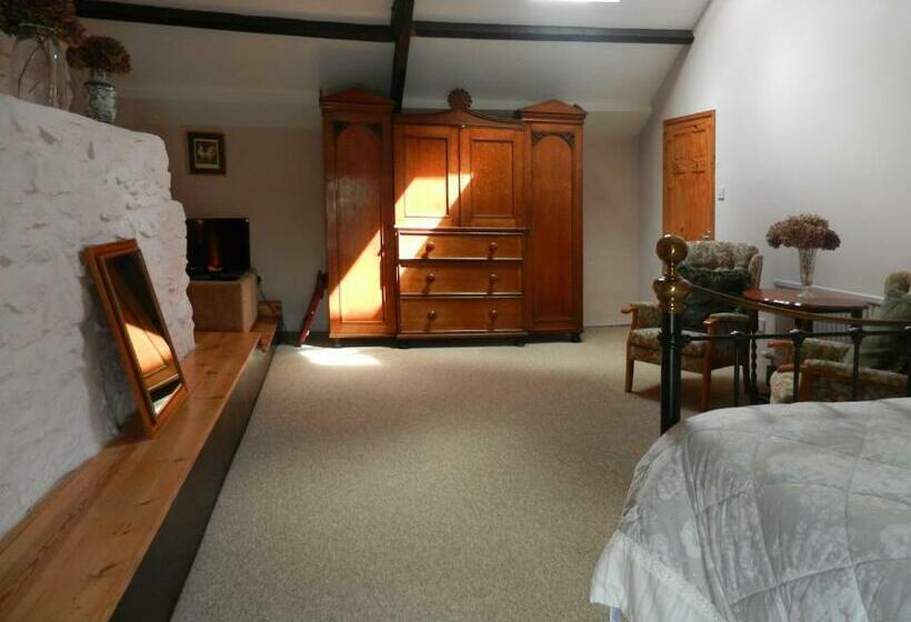 Номер Deluxe Кровать Кинг, Cilwen Country House Bed And Breakfast