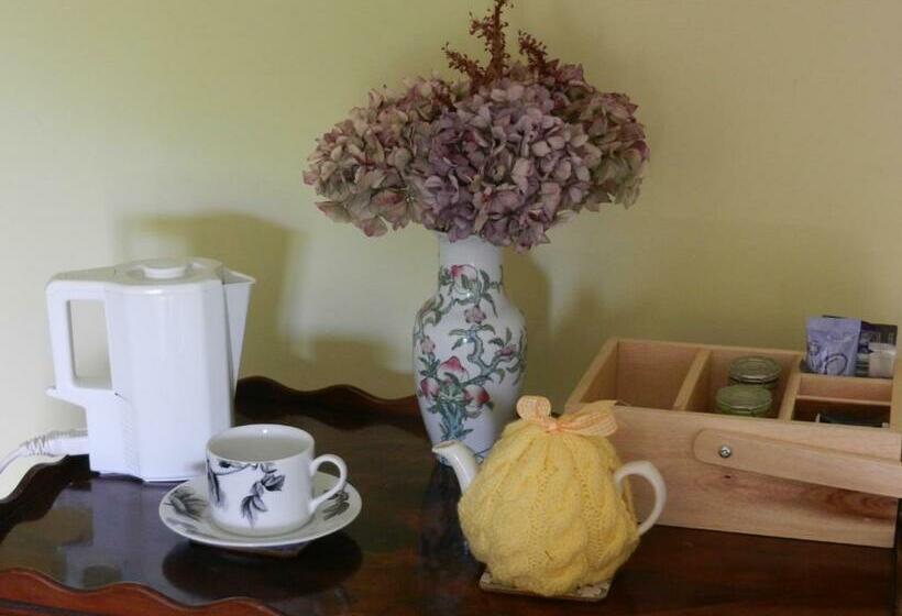 Номер Стандарт, Cilwen Country House Bed And Breakfast