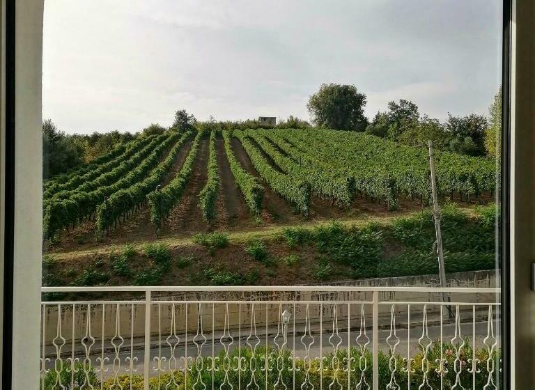 Номер Стандарт, Feudo Di Castelmozzo