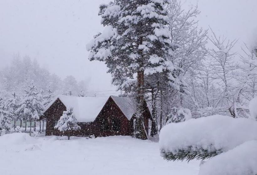 Апартаменты 1 Спальня с Террасой, Yesilyayla Eko Turizm
