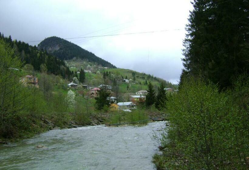 Апартаменты 1 Спальня с Террасой, Yesilyayla Eko Turizm