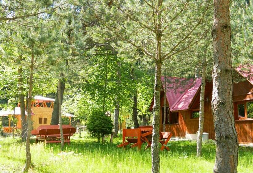 Апартаменты 1 Спальня с Террасой, Yesilyayla Eko Turizm
