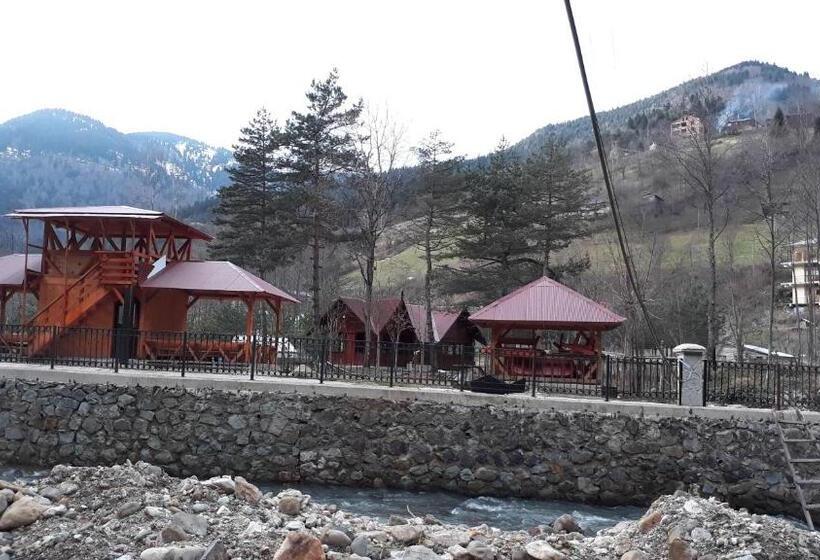 Апартаменты 1 Спальня с Террасой, Yesilyayla Eko Turizm