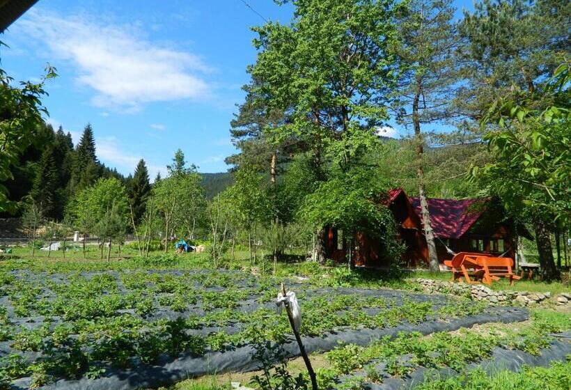 Апартаменты 1 Спальня с Террасой, Yesilyayla Eko Turizm