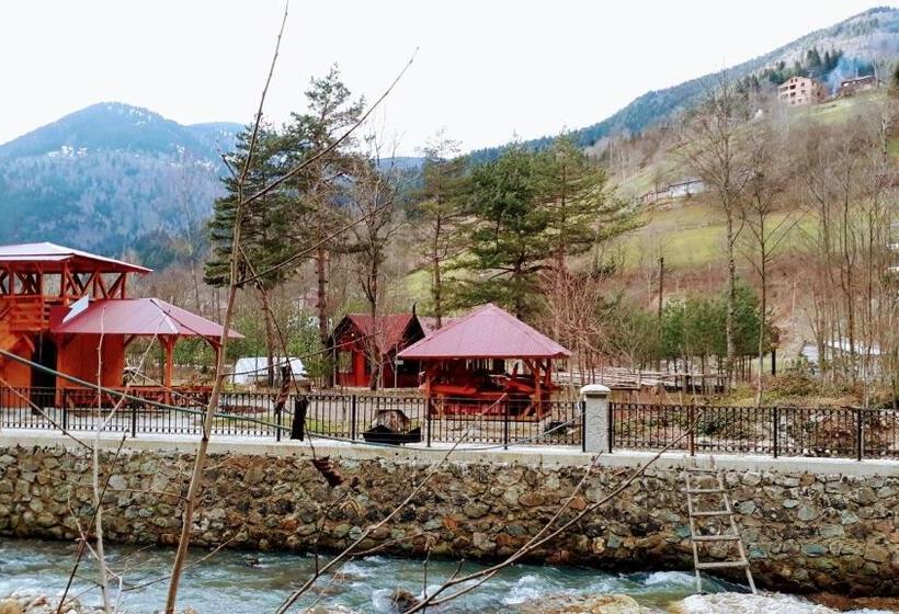 Апартаменты 1 Спальня Вид на Сад, Yesilyayla Eko Turizm