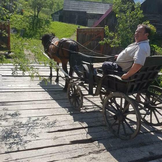 Номер Стандарт, Flower Bell