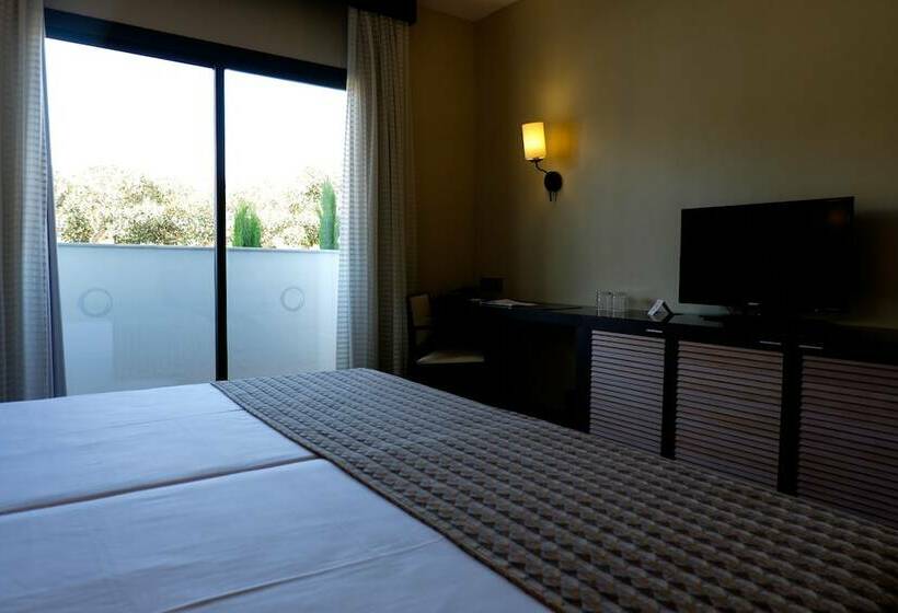 スタンダードルーム, ALEGRIA Palacio Mojacar - Adults Only