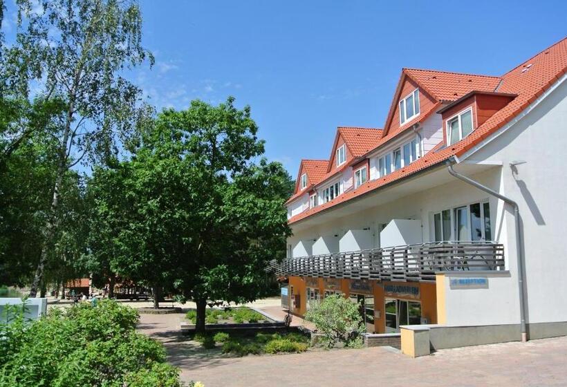 Номер Стандарт, Bernsteinsee