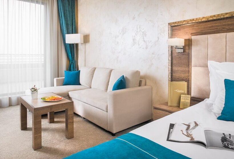 디럭스 스튜디오, Park & Spa Hotel Markovo