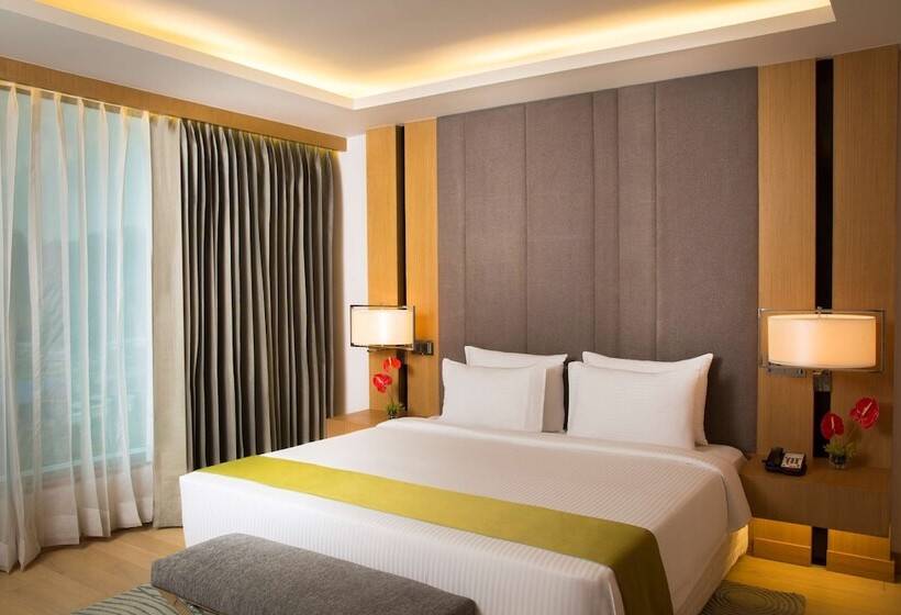高级大房间, Radisson Blu Hotel Guwahati