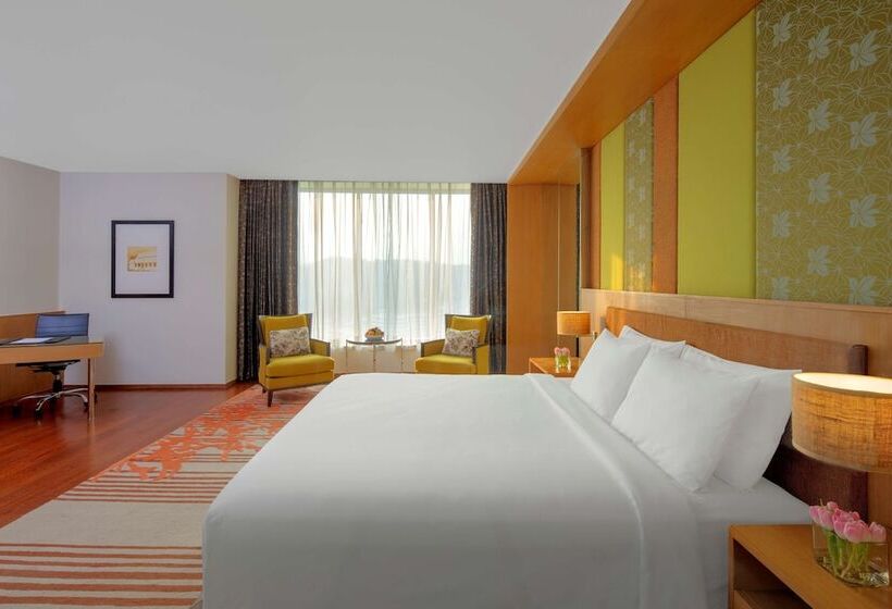 Junior Suite, Radisson Blu Hotel Guwahati