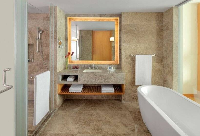 Suite, Radisson Blu Hotel Guwahati