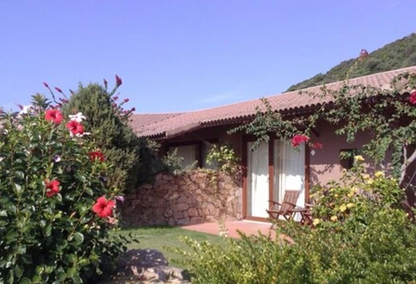 Comfort Kamer, Spartivento