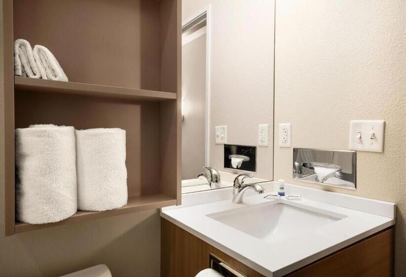 带大床的标准间, Microtel Inn & Suites By Wyndham