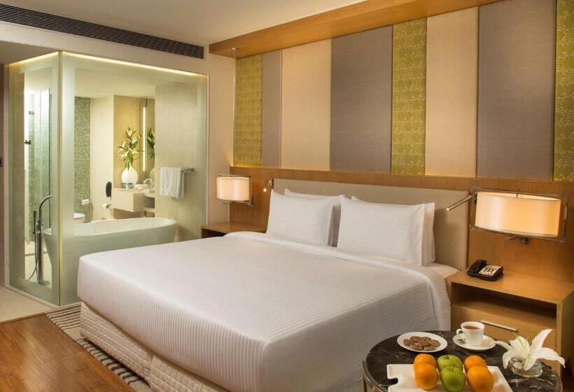 高级大房间, Radisson Blu Hotel Guwahati