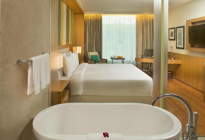 Номер бизнес-класса, Radisson Blu Hotel Guwahati