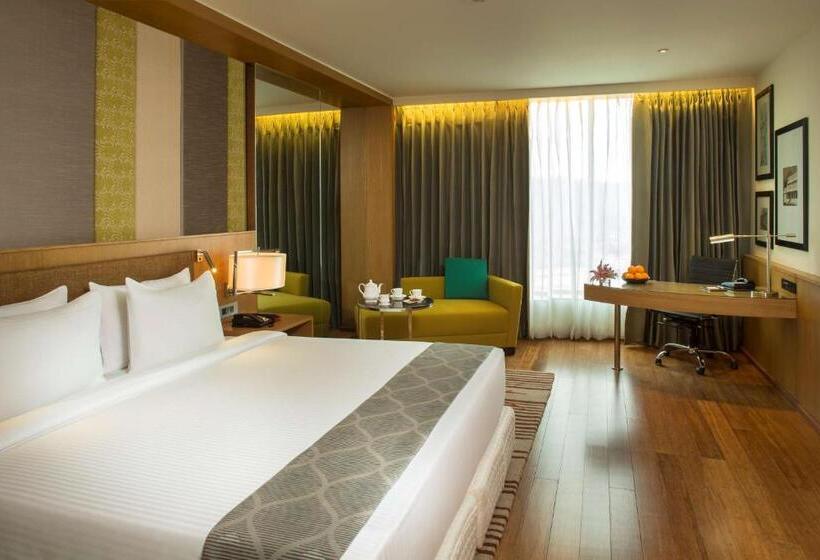 商务房间, Radisson Blu Hotel Guwahati