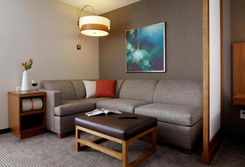 Номер Стандарт Верхний Этаж, Hyatt Place Lincoln/downtown Haymarket