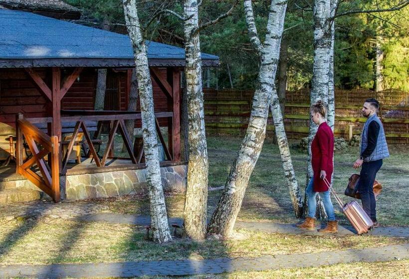Четырехместный Номер Стандарт, Maciejówka Borki 33
