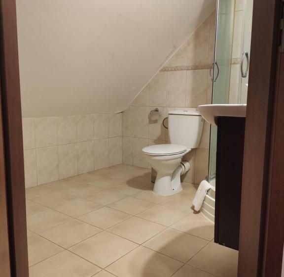 Номер Стандарт Трехместный, Panorama_spa