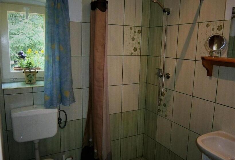 Шале 1 Спальня, Gosciniec Pod Debem