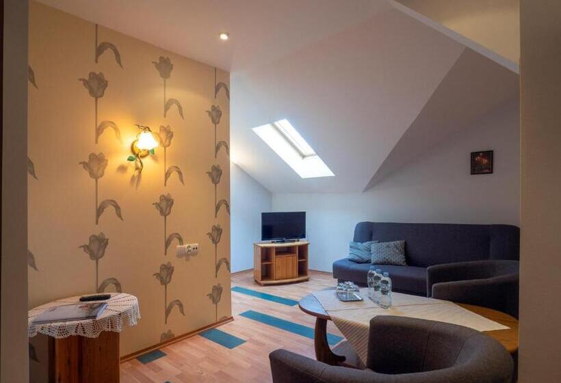 Трежместный Номер Economy, Sajmino Family House