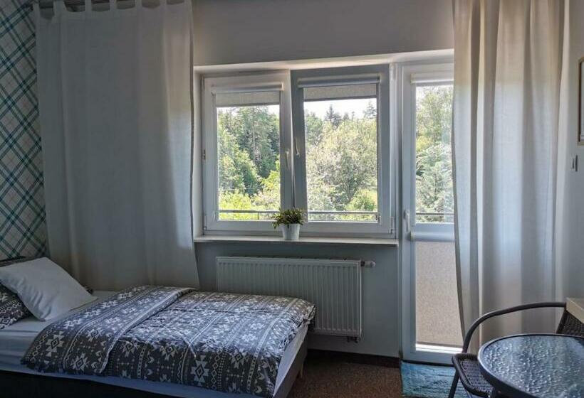 Номер Стандарт, Leśna Villa