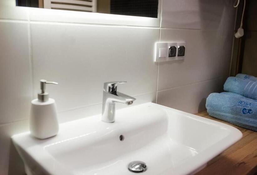 Апартаменты Deluxe 1 Спальня, Rosa Apartamenty