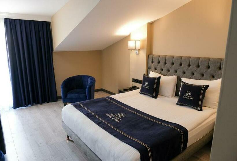 اتاق لوکس یک تخته, Loft Plus Hotel S