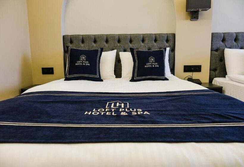 اتاق لوکس, Loft Plus Hotel S