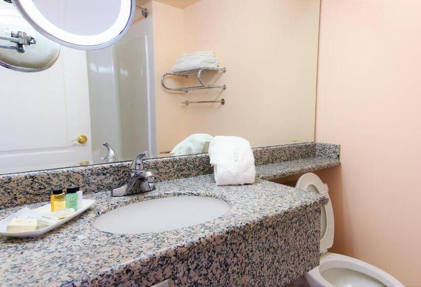 Номер Премиум, Crystal Star Inn Edmonton Airport With Free Shuttle To And From Airport