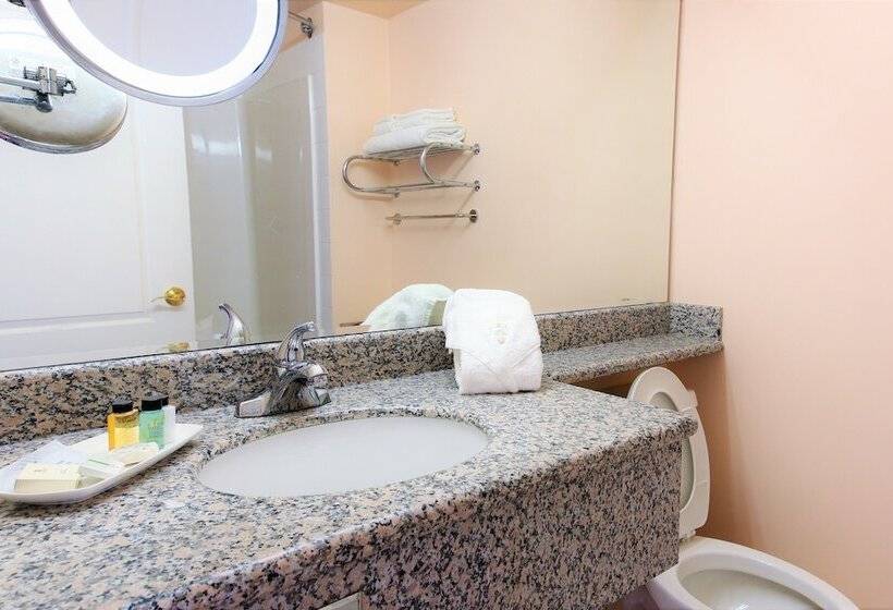 Номер Премиум, Crystal Star Inn Edmonton Airport With Free Shuttle To And From Airport