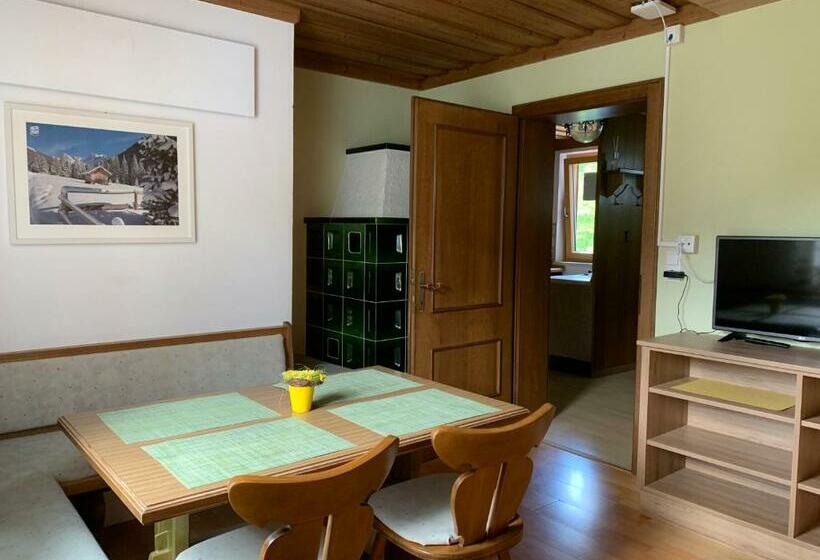 آپارتمان 2 خوابه, Haus Tirol