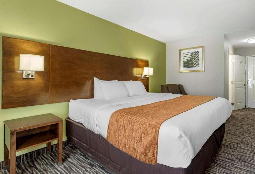 Номер Стандарт Кровать Кинг Адаптированный для Инвалидов, Comfort Inn & Suites North Little Rock Jfk Blvd