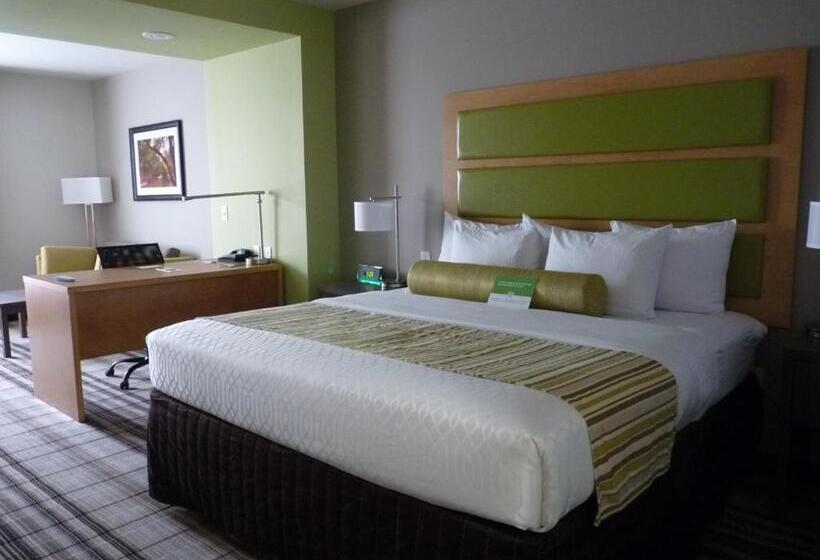 Номер Executive Кровать Кинг, La Quinta By Wyndham Paducah