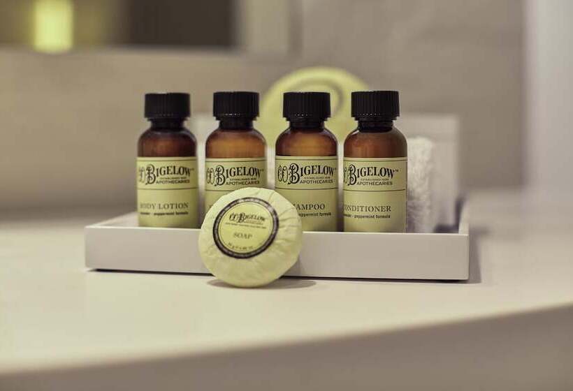 Номер Deluxe, Pullman Paris Roissy Cdg Airport