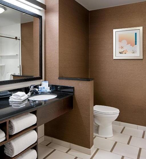 Номер Стандарт, Fairfield Inn & Suites By Marriott Columbus Dublin