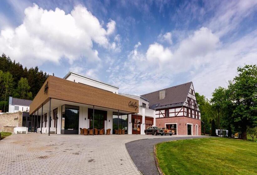 Номер Superior, Cihelny Golf & Wellness Resort