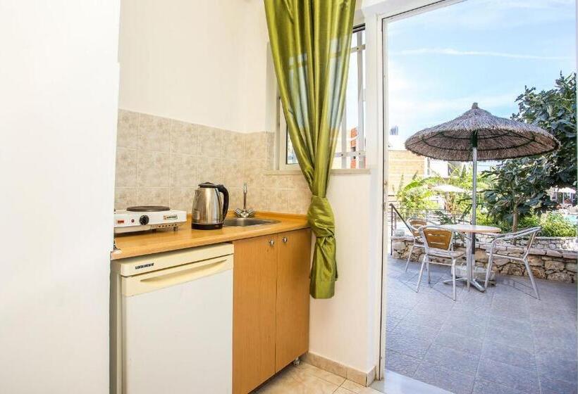 استودیوی استاندارد, Vickys Studios Faliraki